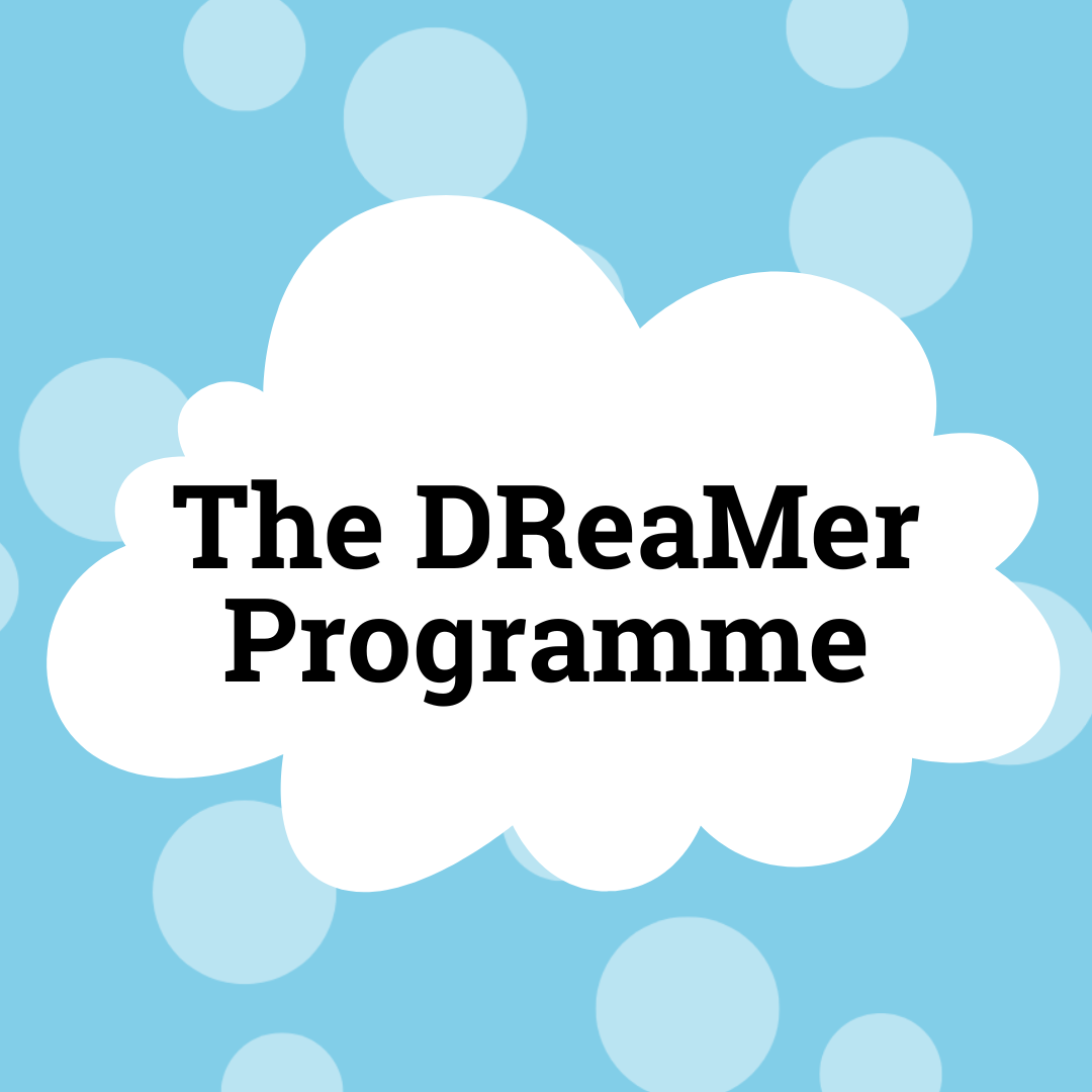 The DReaMer Programme